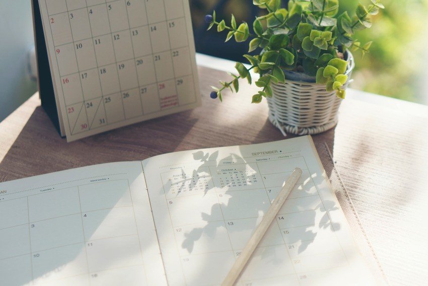 An open planner lies on a wooden desk, next to a calendar and a potted plant. Sunlight casts shadows on the planner's pages, hinting at careful MCCQE Part 1 scheduling for 2025.